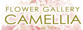 FLOWER GALLERY CAMELLIA-t[M[JA-